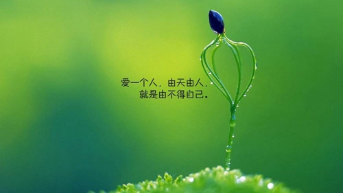 殷姓巨蟹座女孩子取名特別的名字（殷姓女孩有涵養(yǎng)的名字大全）